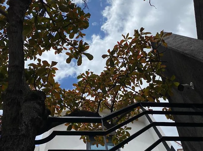 The Loft Junction 丰沙尔