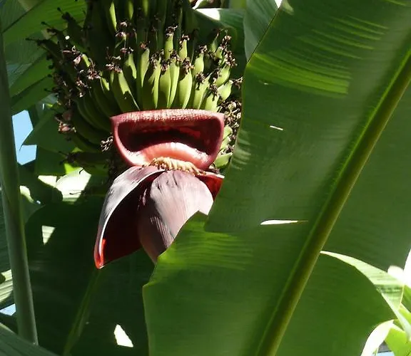 The Loft Junction 丰沙尔