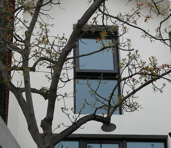 公寓 The Loft Junction 丰沙尔