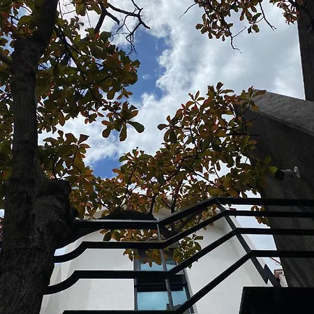 The Loft Junction Funchal