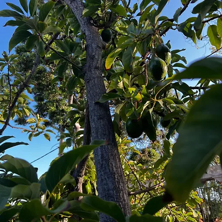 The Loft Junction Apartman *