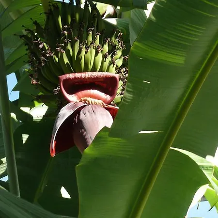 The Loft Junction Funchal
