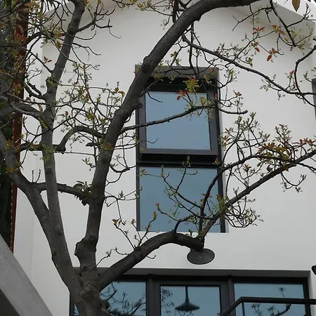 Apartman The Loft Junction Funchal